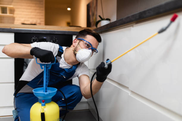 Best Local Pest Control Services  in Knightsen, CA