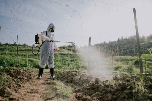 Best Mosquito Control Services  in Knightsen, CA