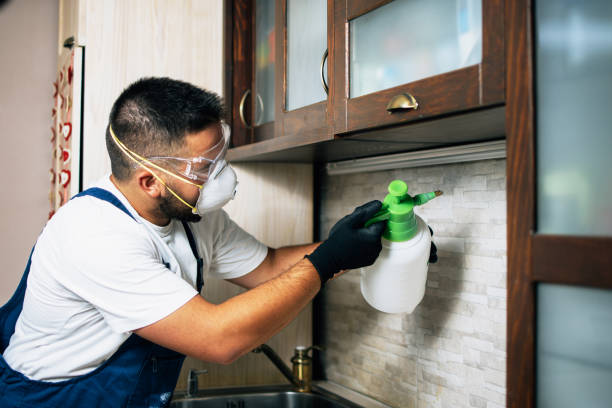 Best Flea Control Services  in Knightsen, CA