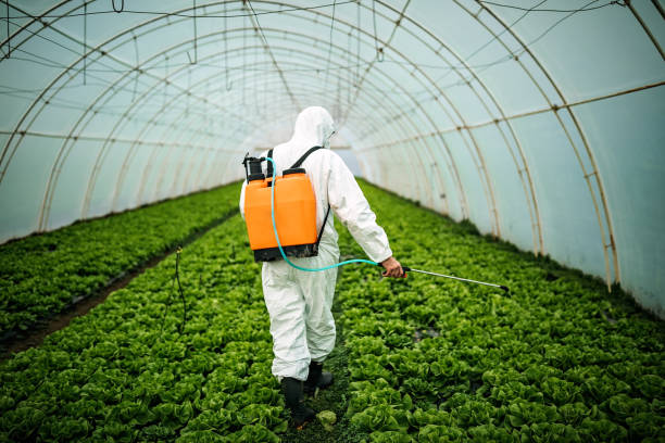 Best Insect Control  in Knightsen, CA