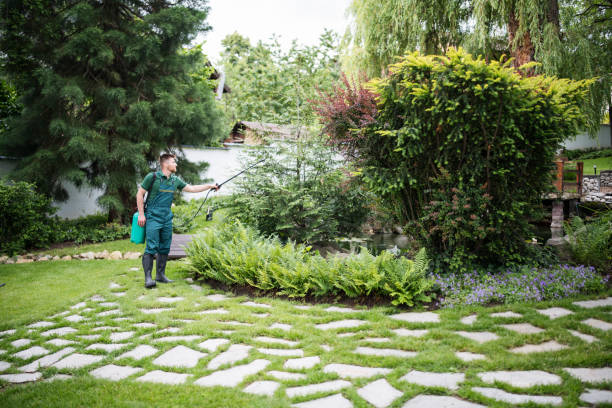 Reliable Knightsen, CA Pest Control Solutions