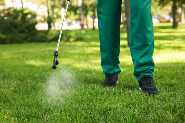 Best Pest Control Near Me  in Knightsen, CA