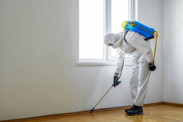 Wildlife Control Services in Knightsen, CA
