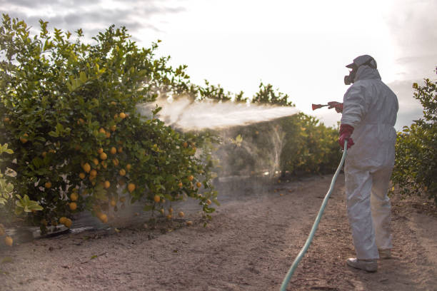 Best Residential Pest Control  in Knightsen, CA