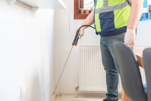 Best Rat Extermination Near Me  in Knightsen, CA