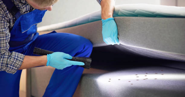 Best Residential Pest Control  in Knightsen, CA