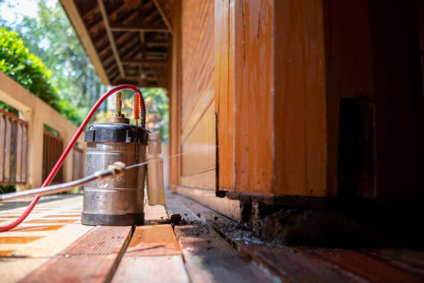 Best Cockroach Control Services  in Knightsen, CA
