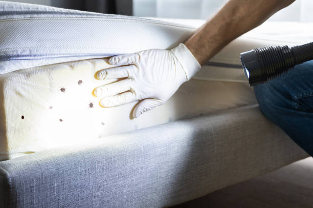 Best Pest Prevention Services  in Knightsen, CA