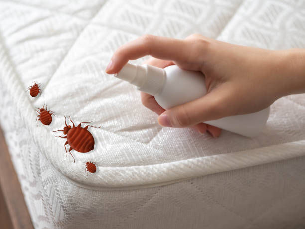 Best Best Pest Control Companies  in Knightsen, CA