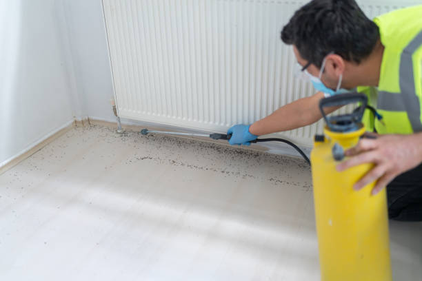 Best Emergency Pest Control  in Knightsen, CA